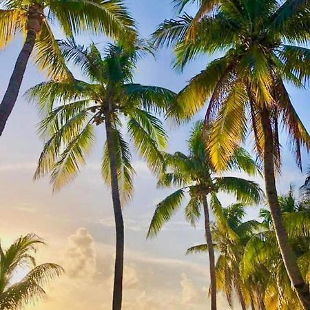 Vc Beach Suites Isla Mujeres Εξωτερικό φωτογραφία